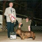 Desi ~ BOSS GCH Remedi Wild Cherry Heart's Desire   
Desi did it again with going to her 2nd National Specialty went BOS at the National and then at all the trailer shows.  Way to go Desi